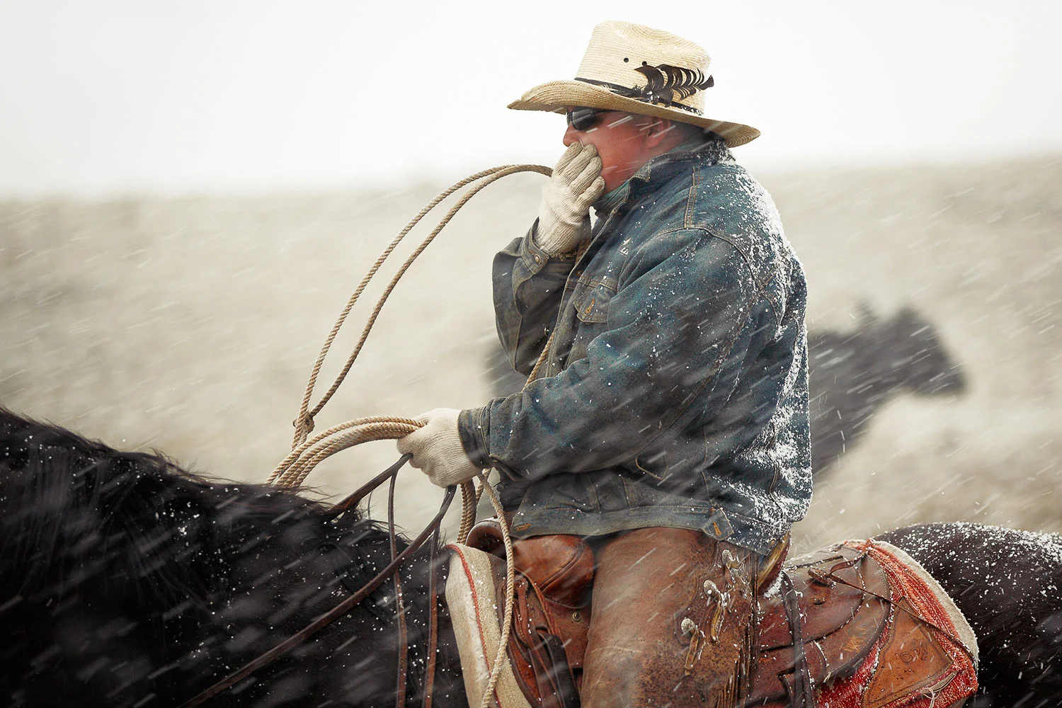 Cold Cowboy