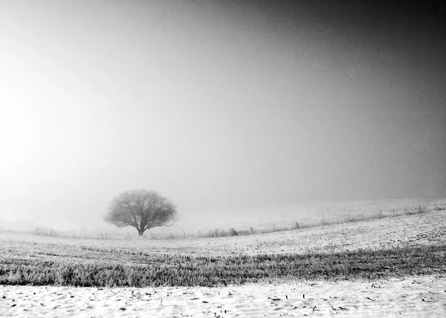 Frozen Mist