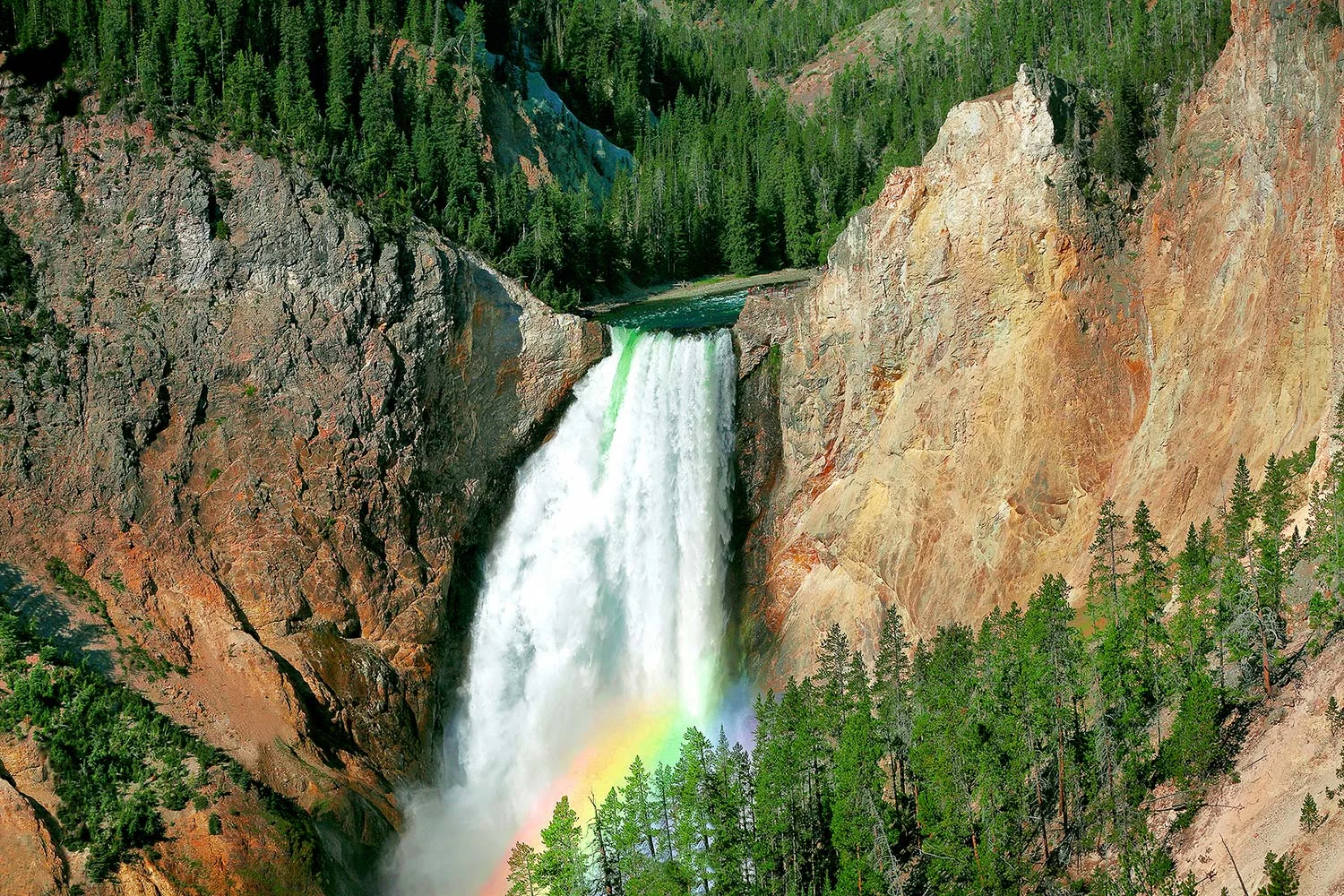 Lower Yellowstone Falls