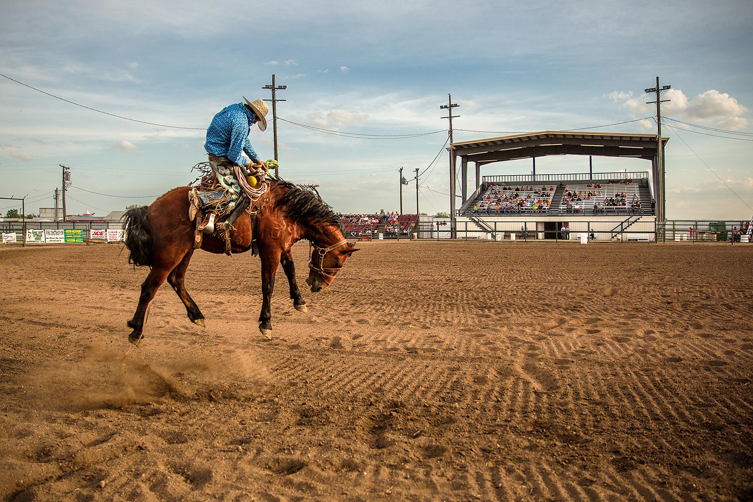 A horse tries bucking off its rider in a rodeo at the Blaine County Fair in Chinook, Montana.&nbsp;→ Buy a Print