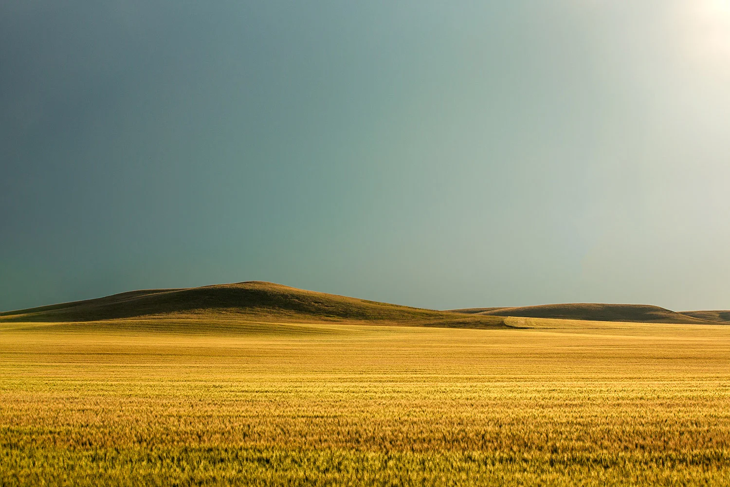 A Rise on the Plains