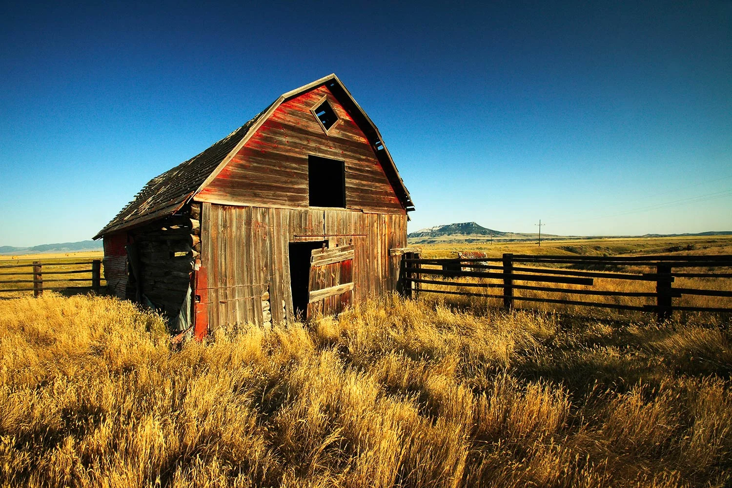 Rural Noir