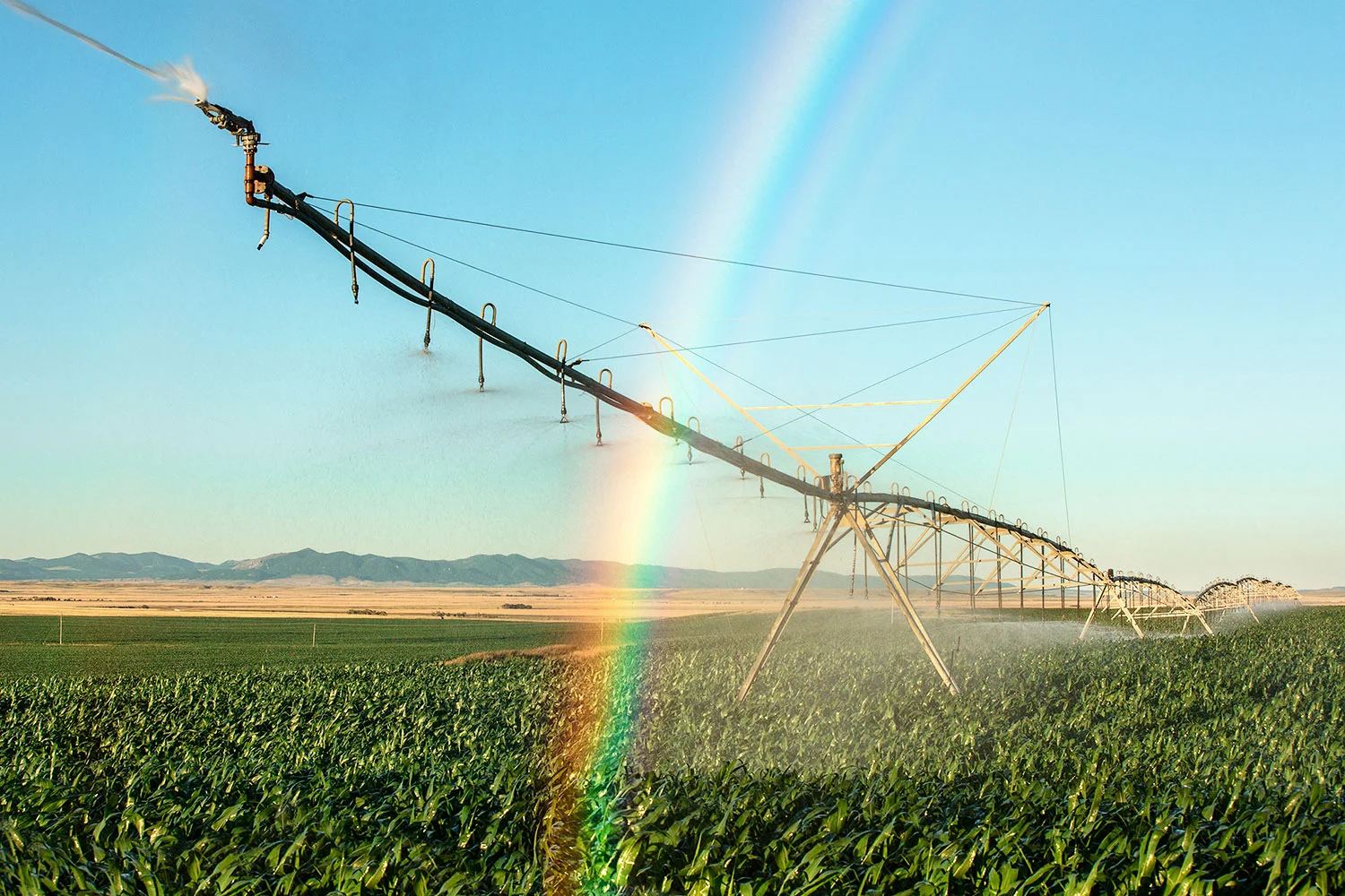 Rainbow Irrigation