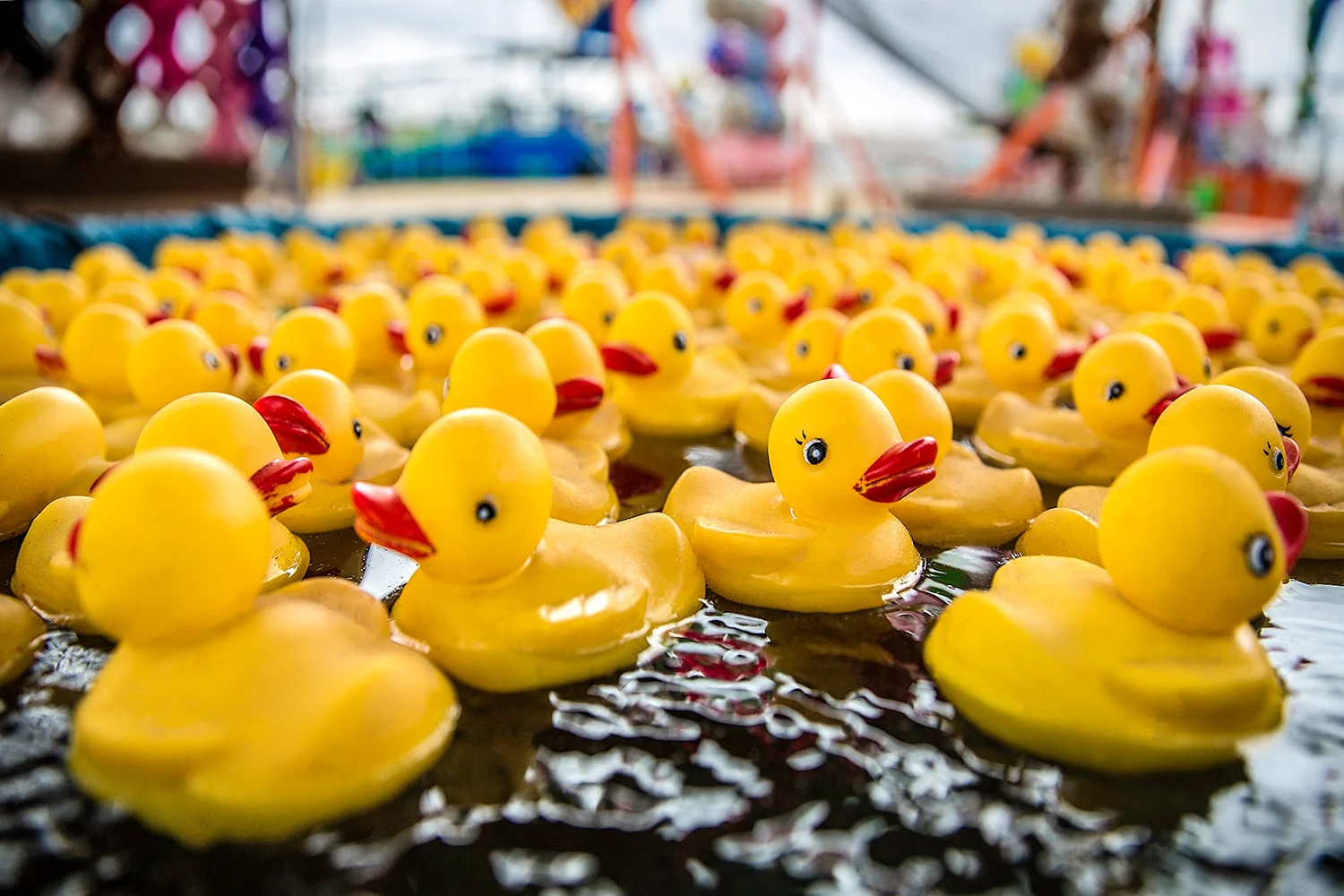 Rubber Duckies