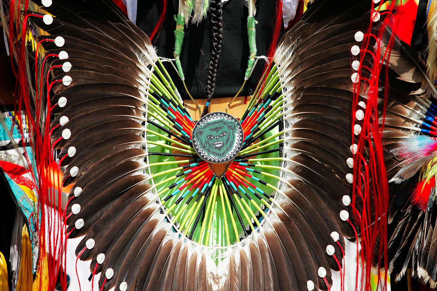Powwow Feathers