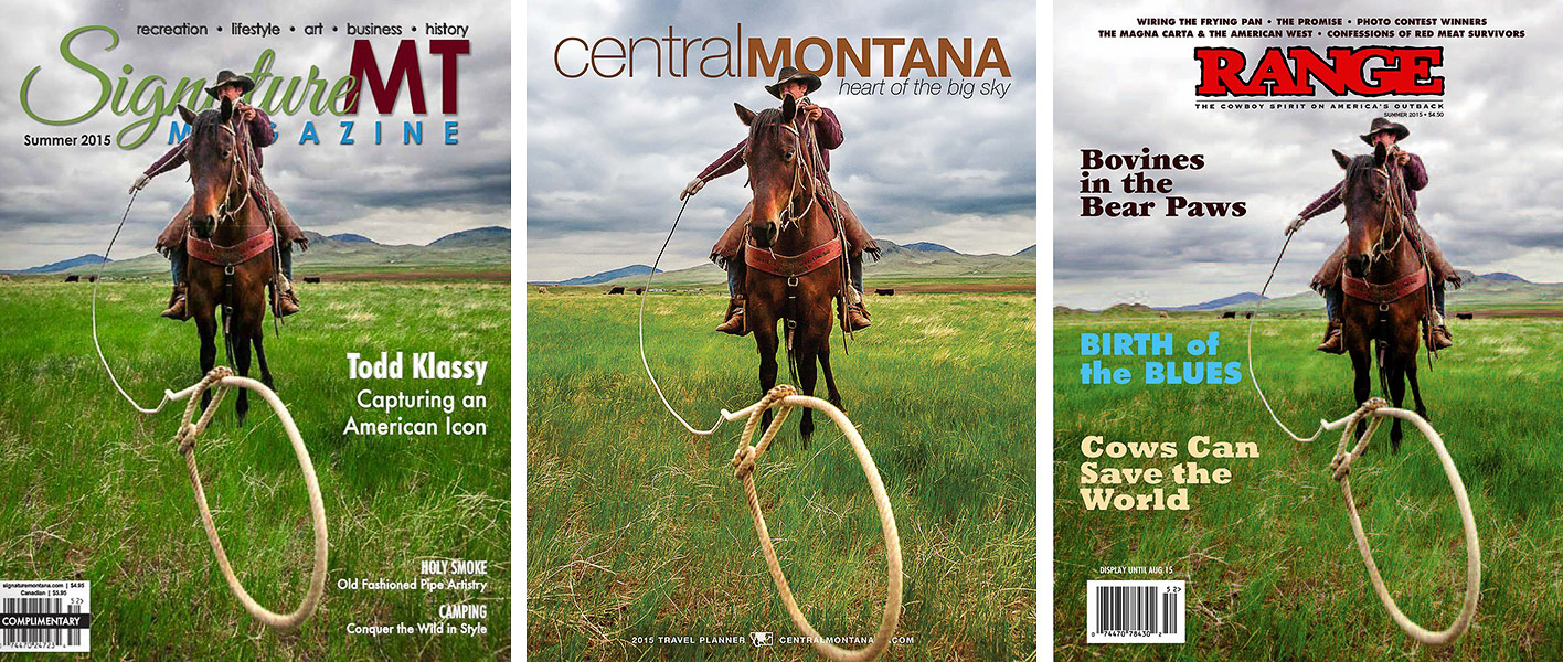 Three Covers Using Same Photo