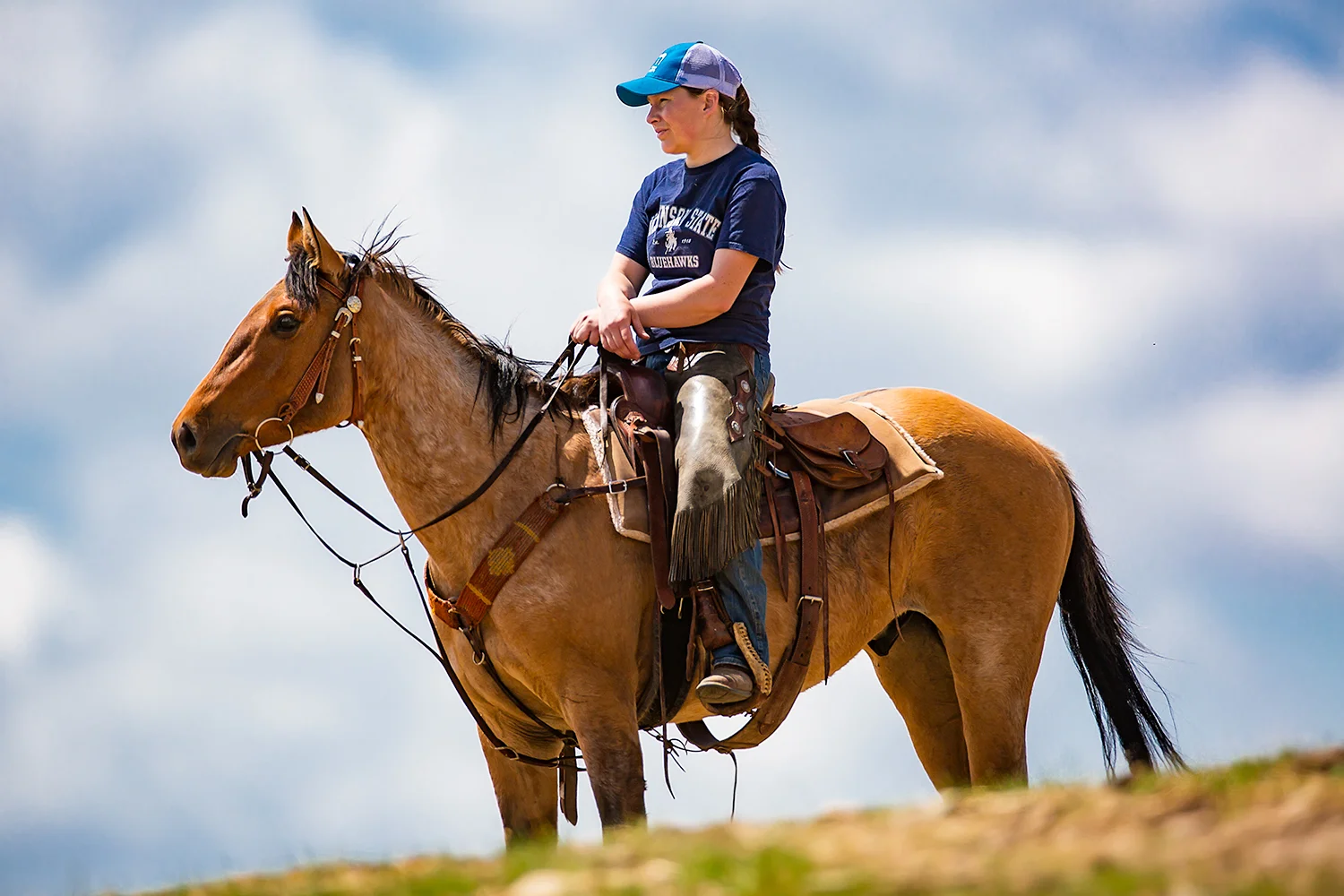 On the Ridge