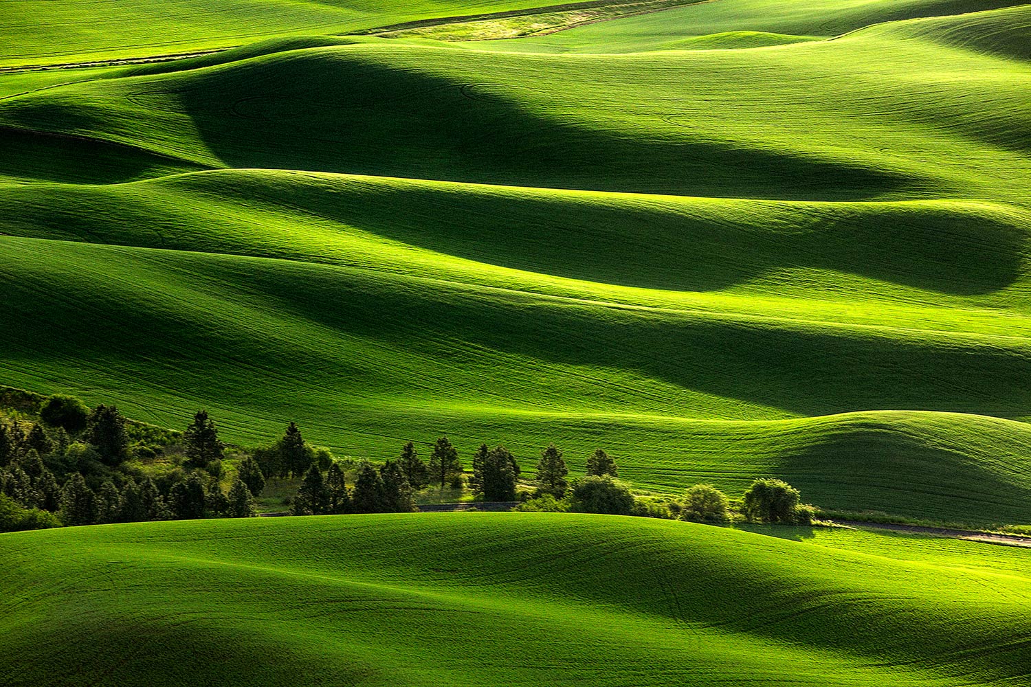The view from Steptoe Butte looking east at Washington's beautiful rolling fields.&nbsp;→ Buy a Print&nbsp;