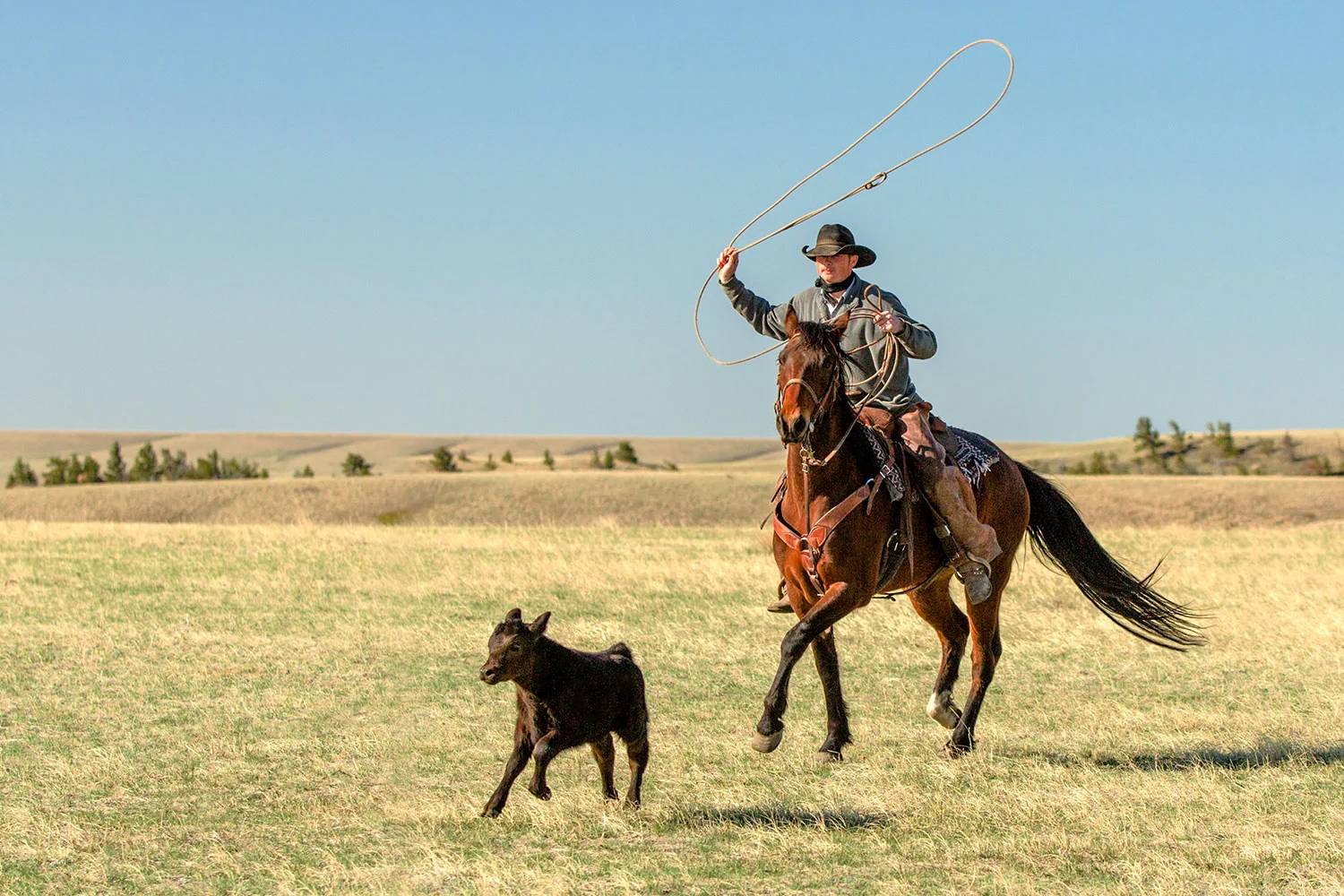 Roping a Little One