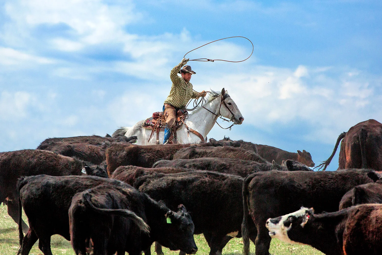 Western Ride