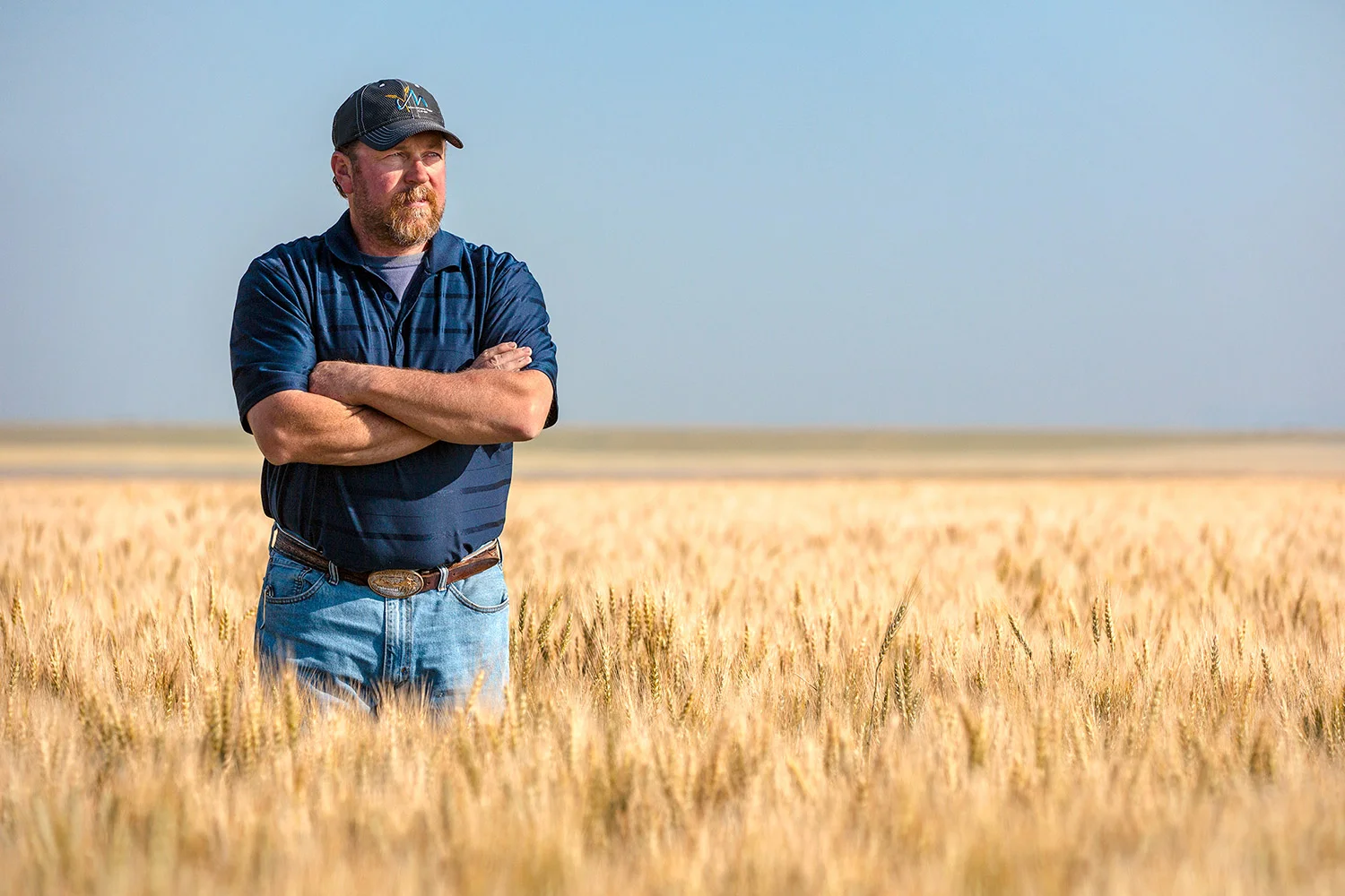 Farmer and Wheat