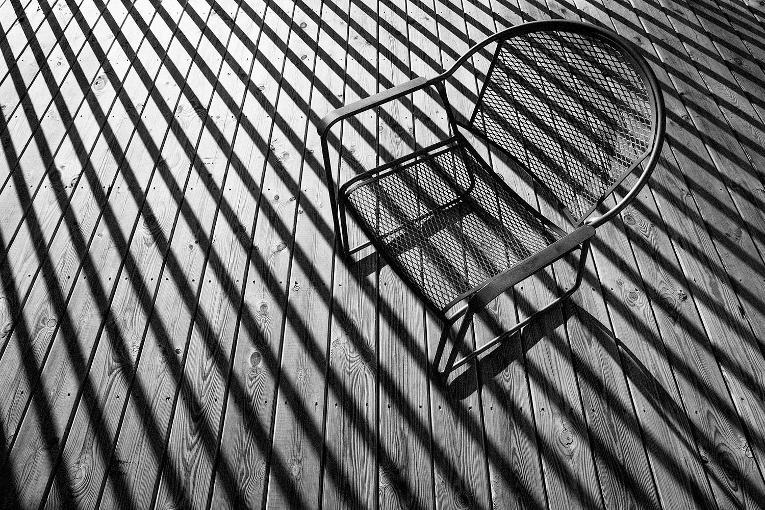Competing Lines