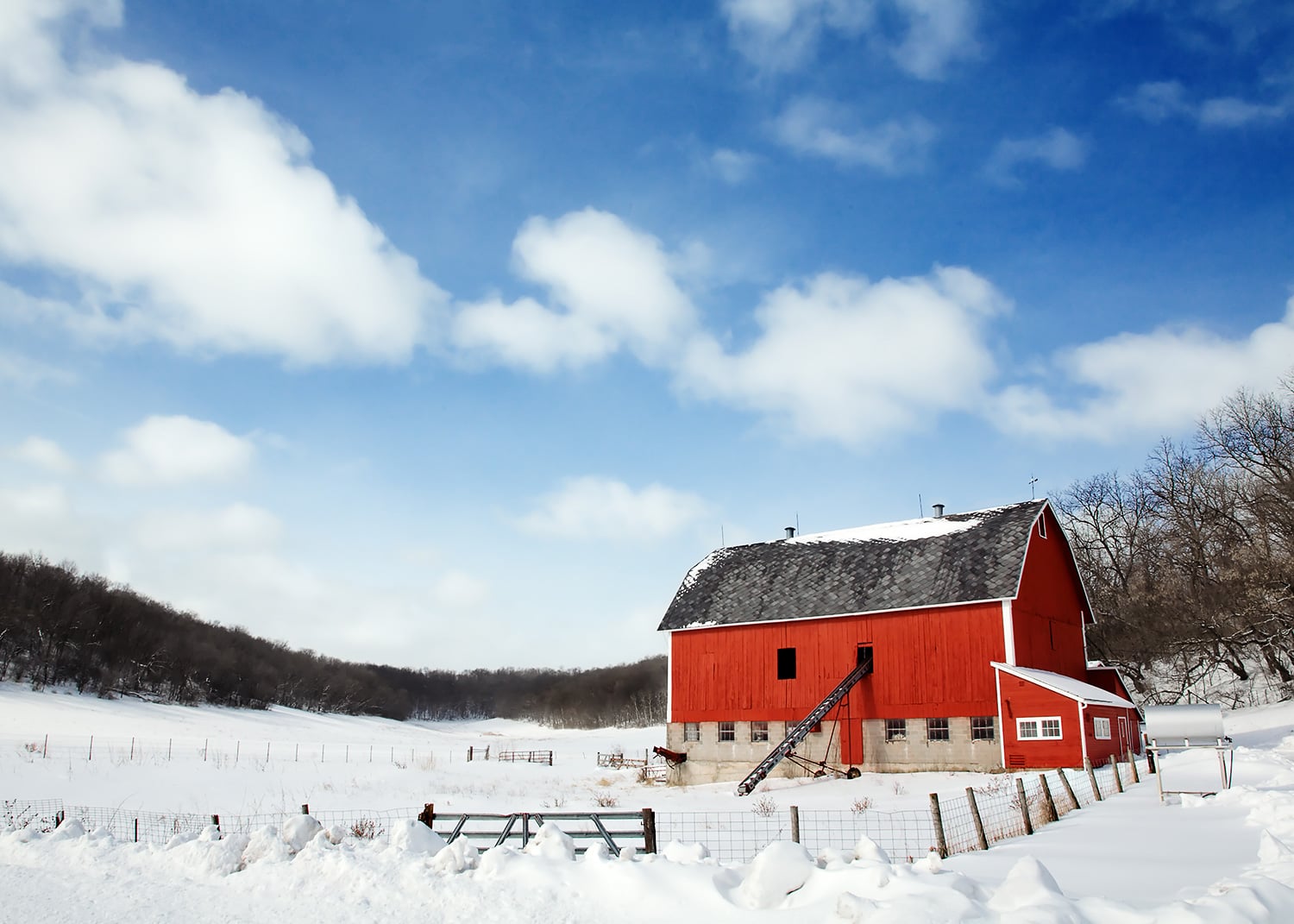 Freshly fallen snow clings to a little red barn just outside of Mount Horeb, Wisconsin.&nbsp;→ Buy a Print