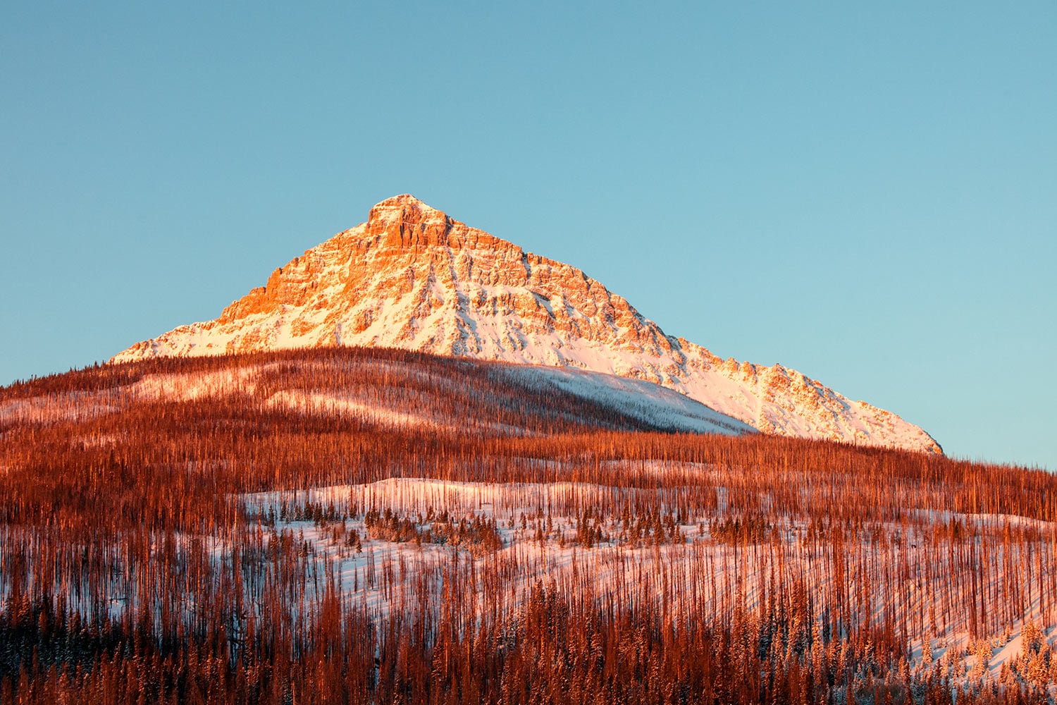 A morning view of the east face of Kupunkamint Mountain at Glacier National Park in Montana.&nbsp;→ Buy a Print