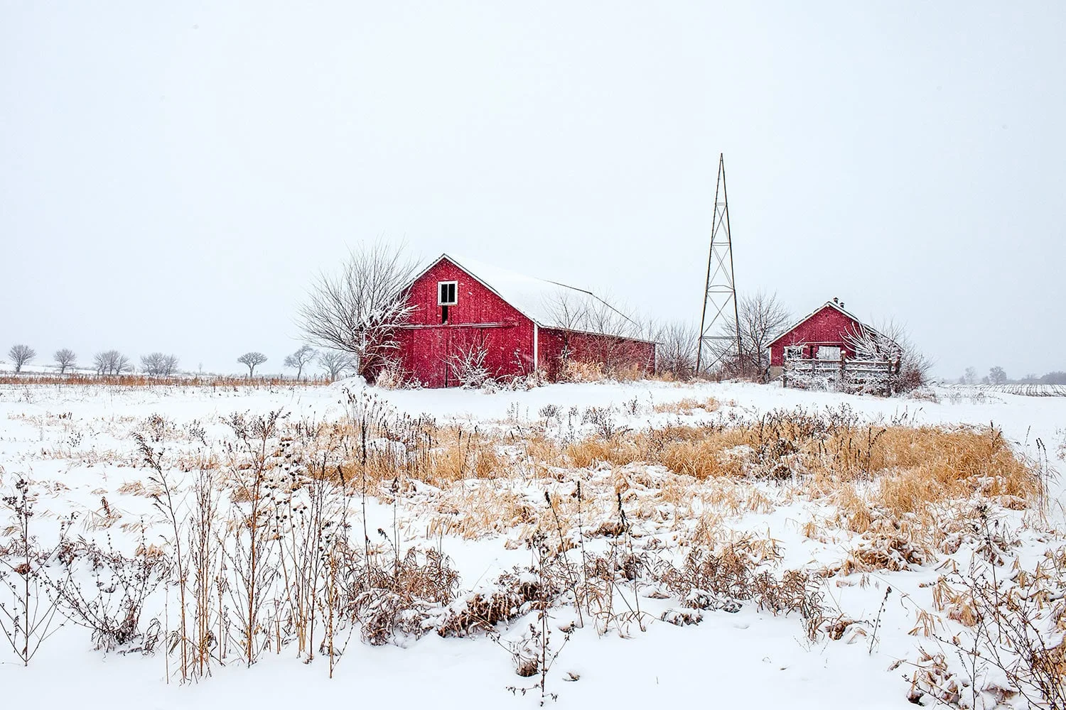 Rustic Reds