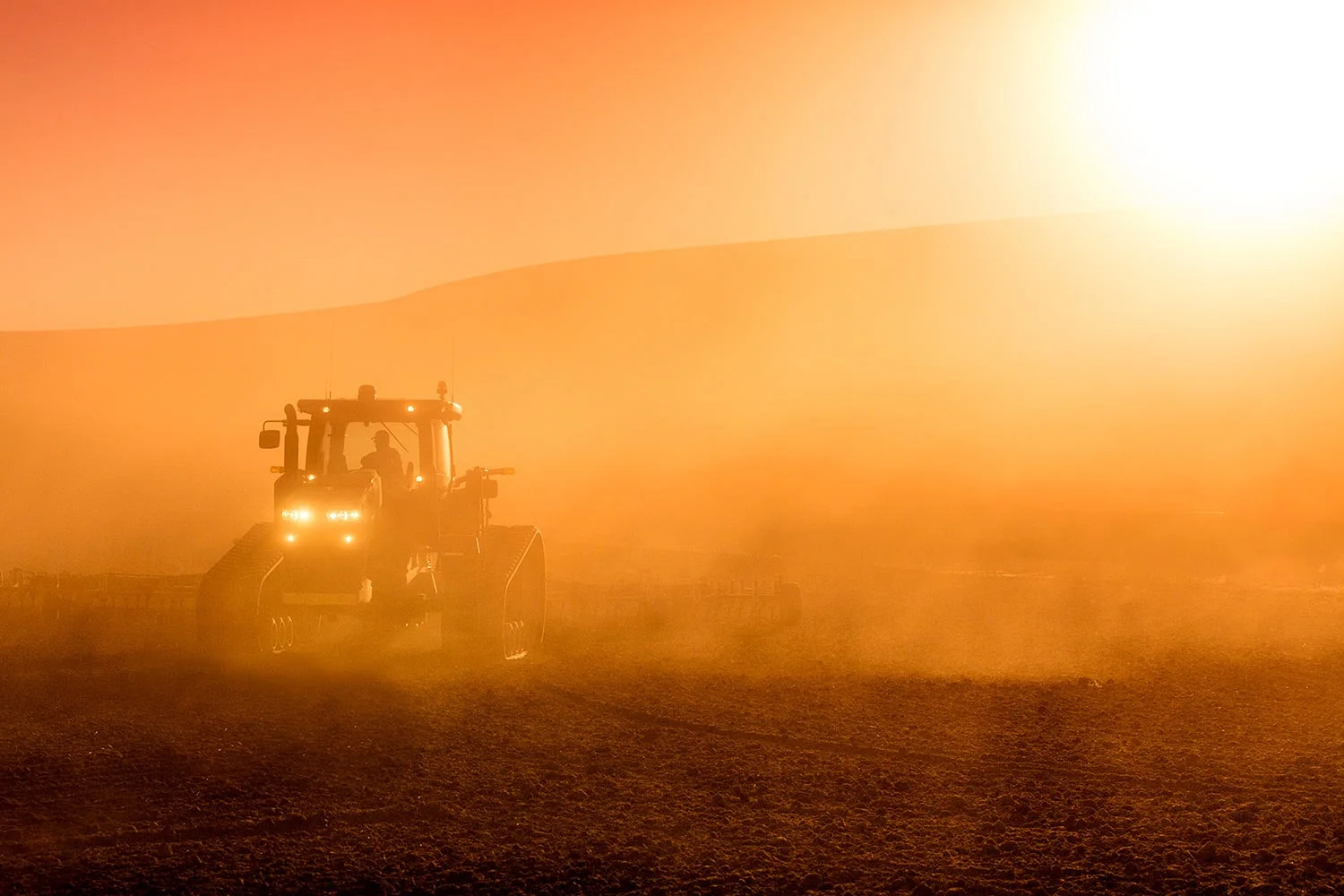 Dusty Fields