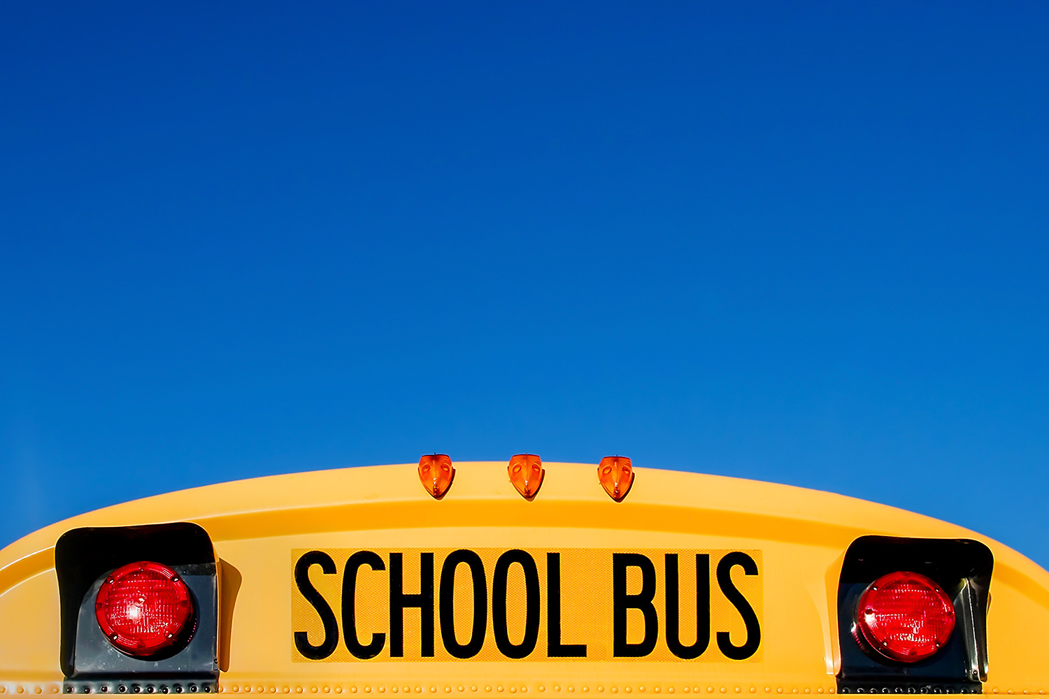 School Bus Top