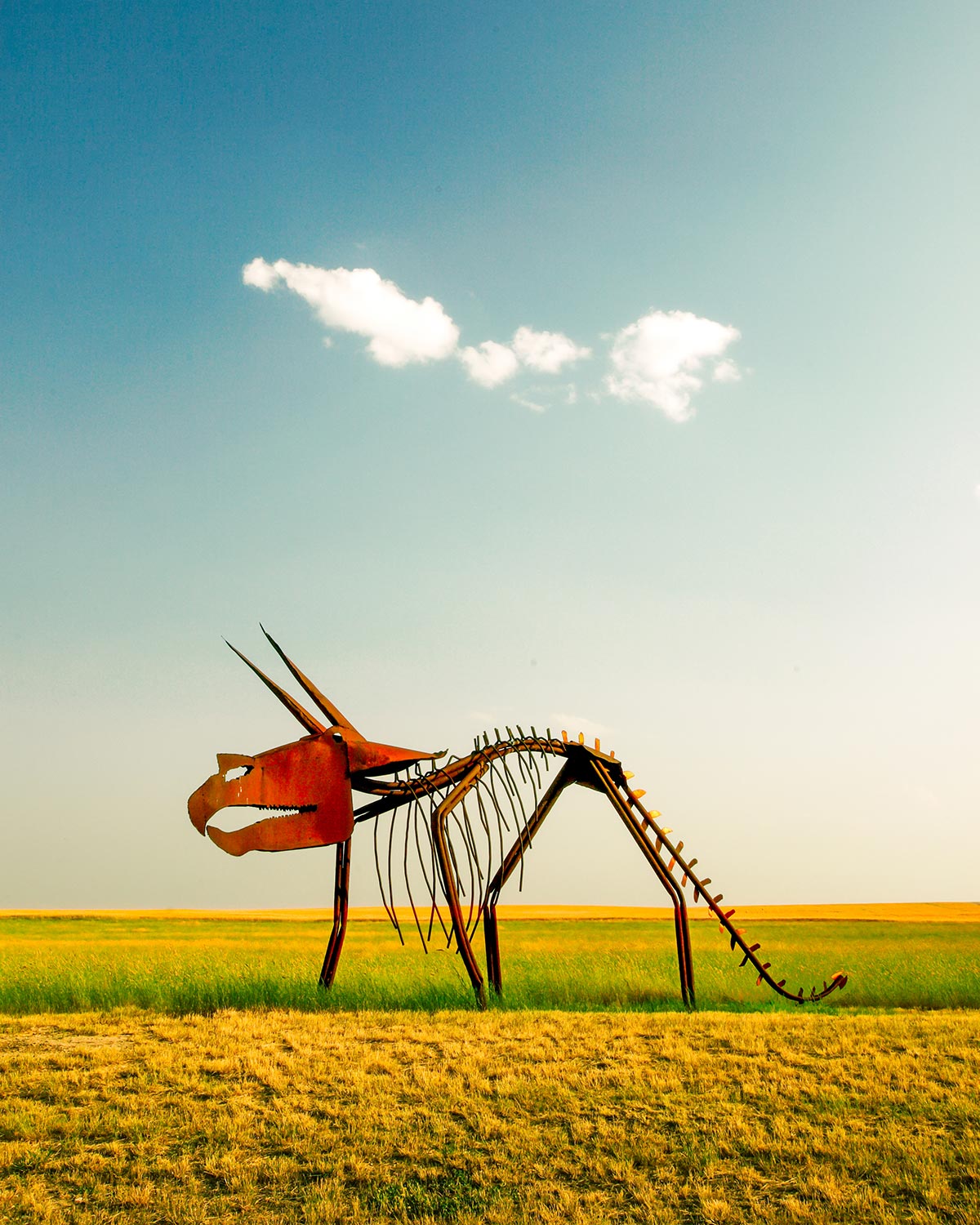A metal sculpture in the form of a Triceratops dinosaur is an excellent example of rural Montana folk art. It can be found on the south side of U.S.&nbsp;→ Buy a Print&nbsp;or License Photo