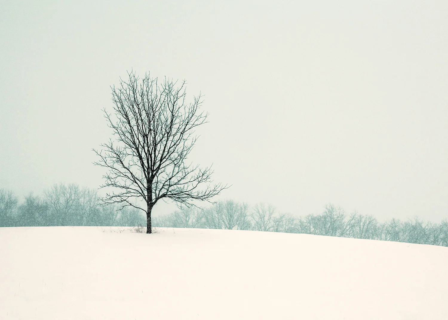 So Silent