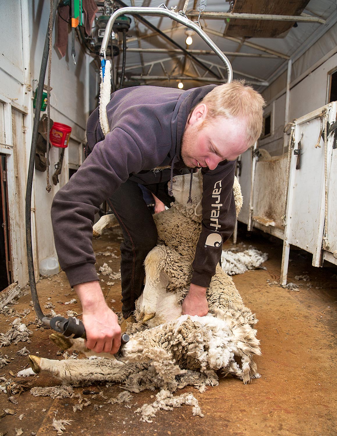 Using Shears