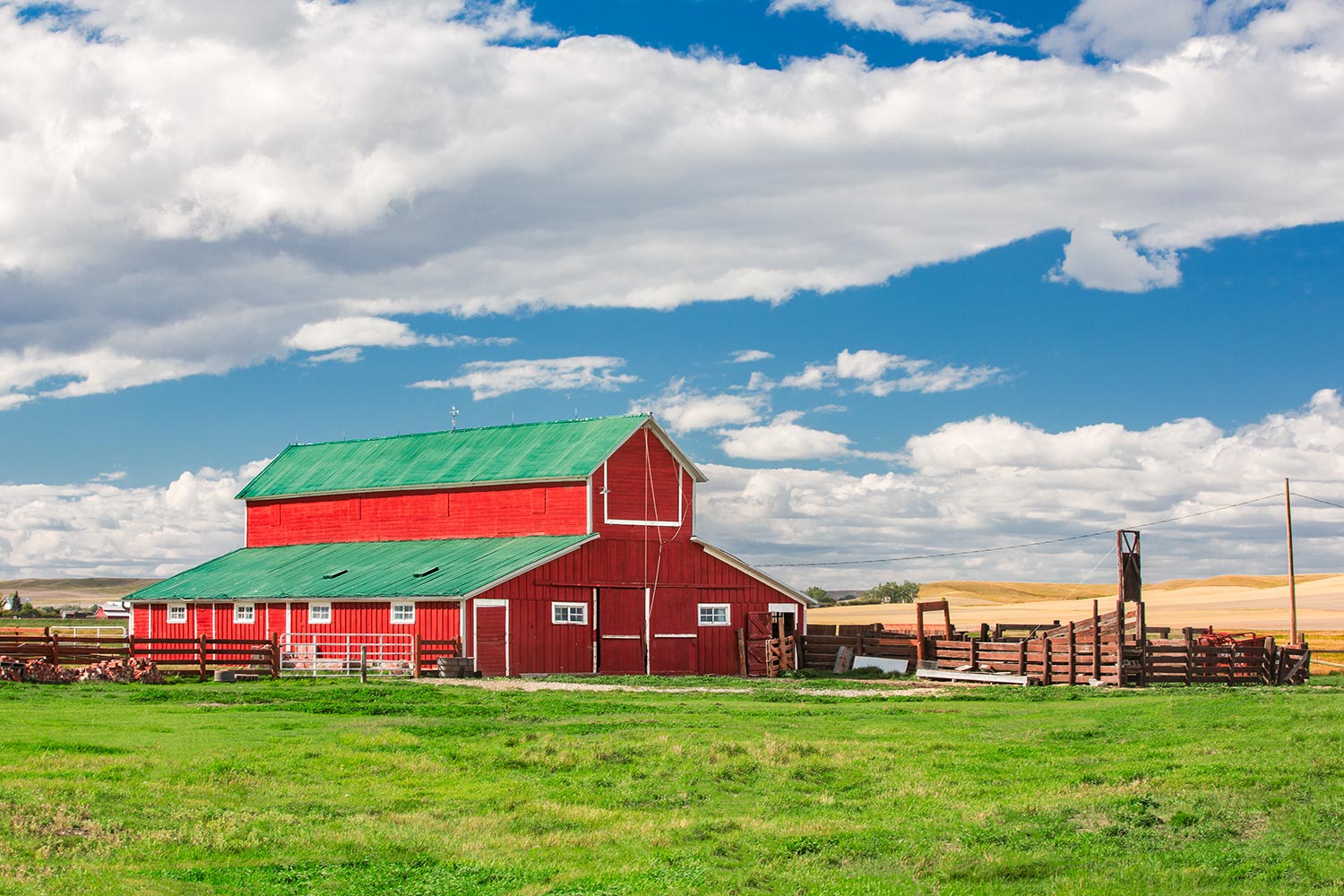 A beautiful red barn on a sunny summer day outside of Denton, Montana.&nbsp;→ Buy a Print&nbsp;or License Photo