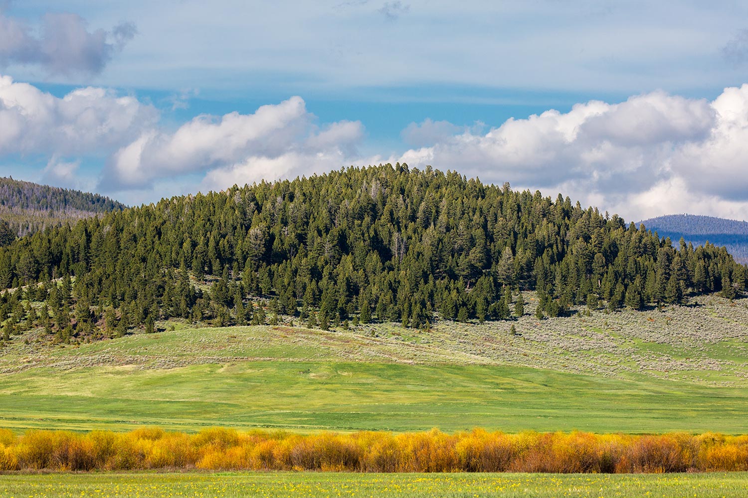 Meagher County Landscape