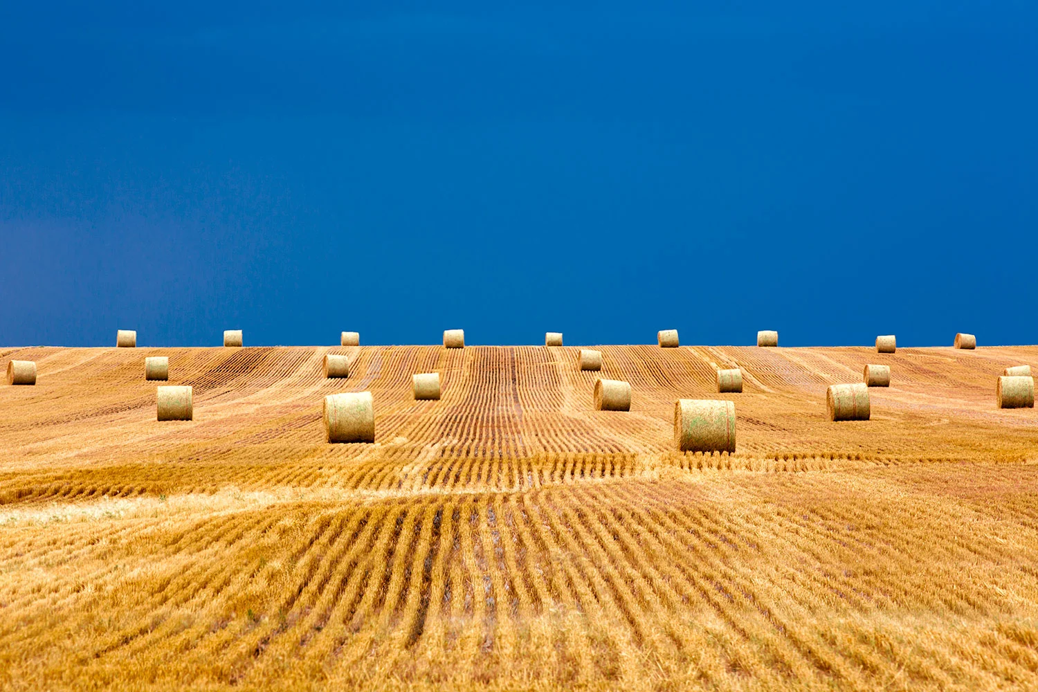 Bales on the Storm