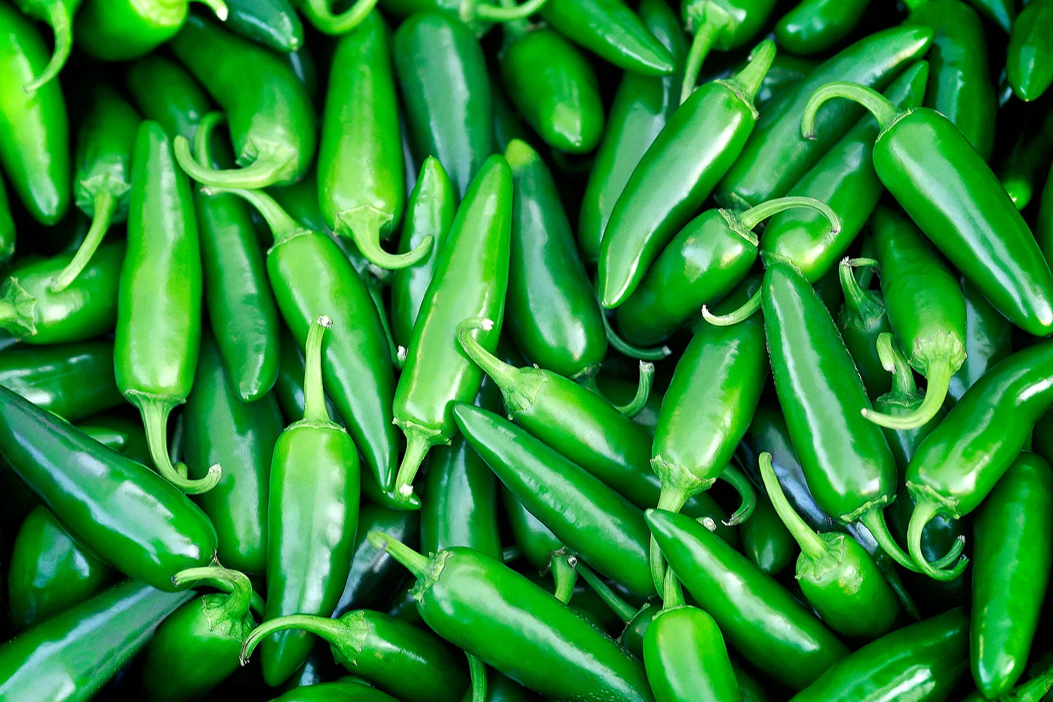 Jalapeño Heaven