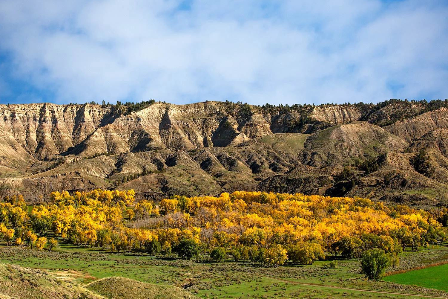 Judith River Autumn