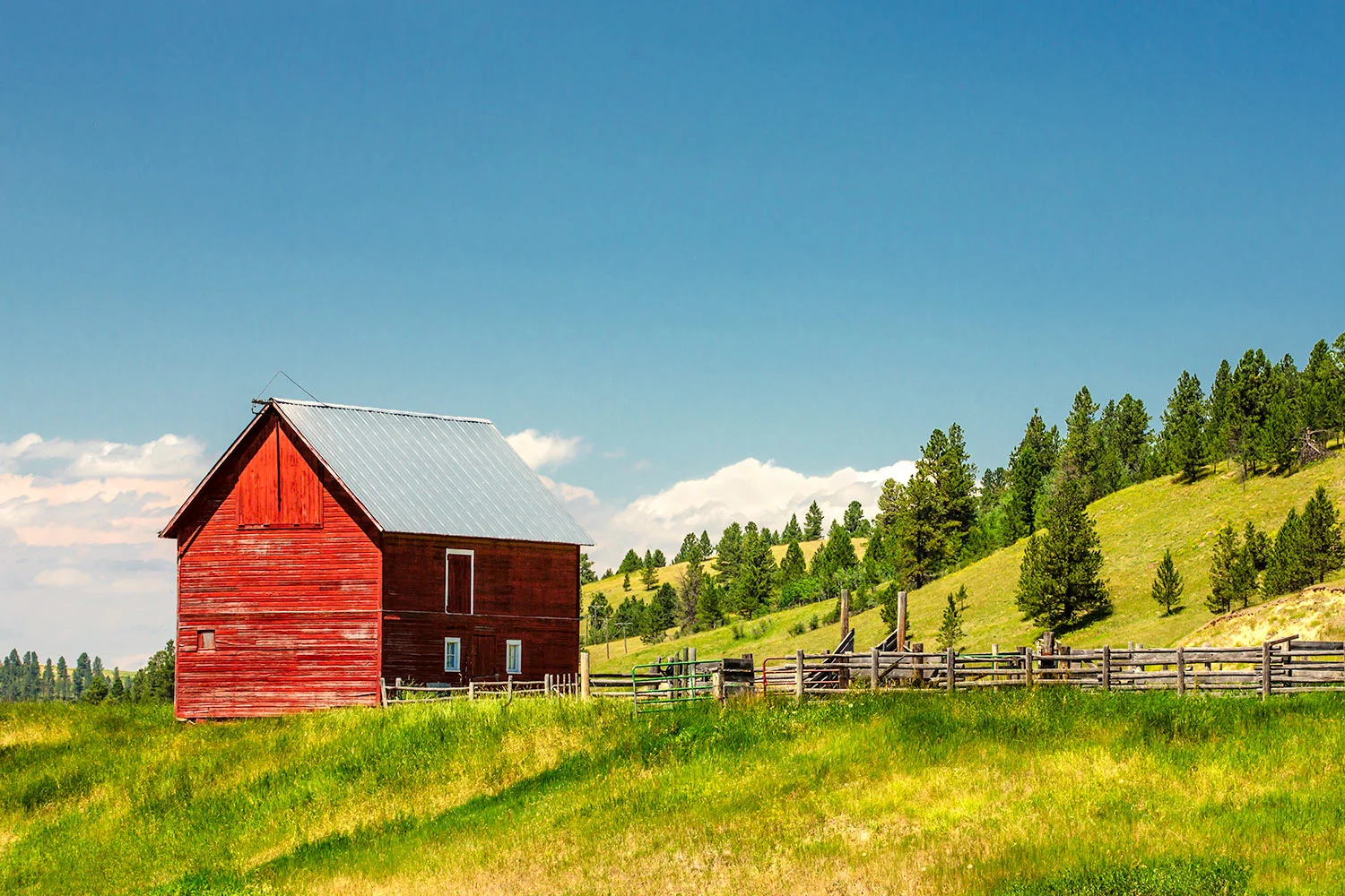 Small Red Shed