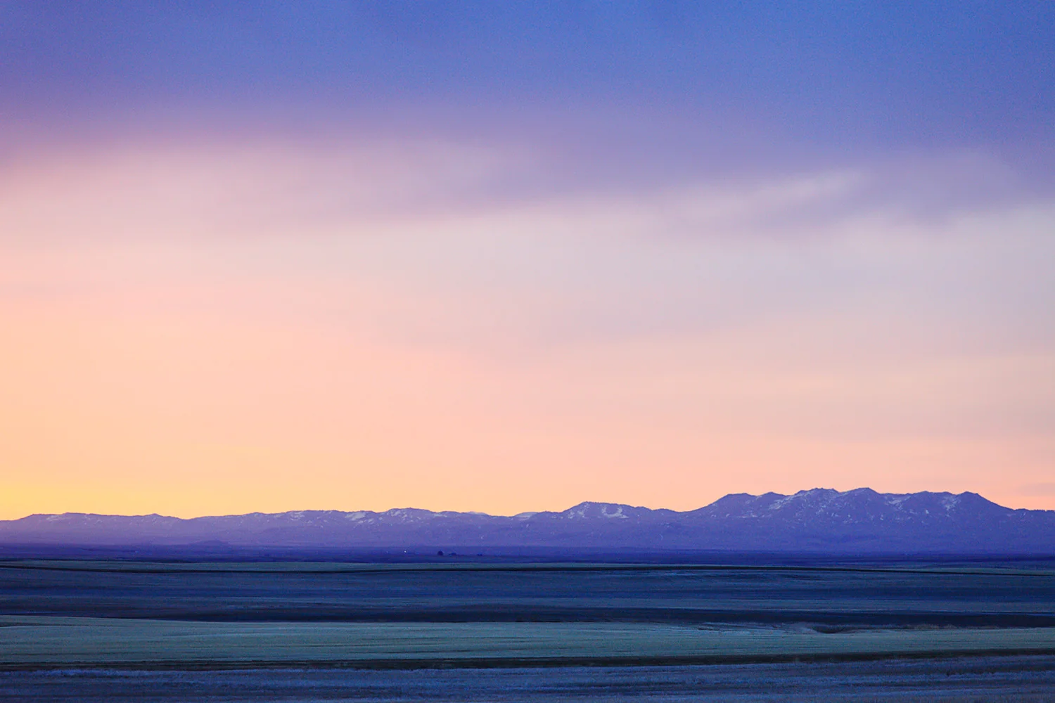 Purple Mountain's Majesty