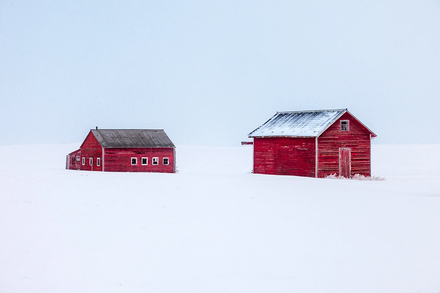 Walled in White