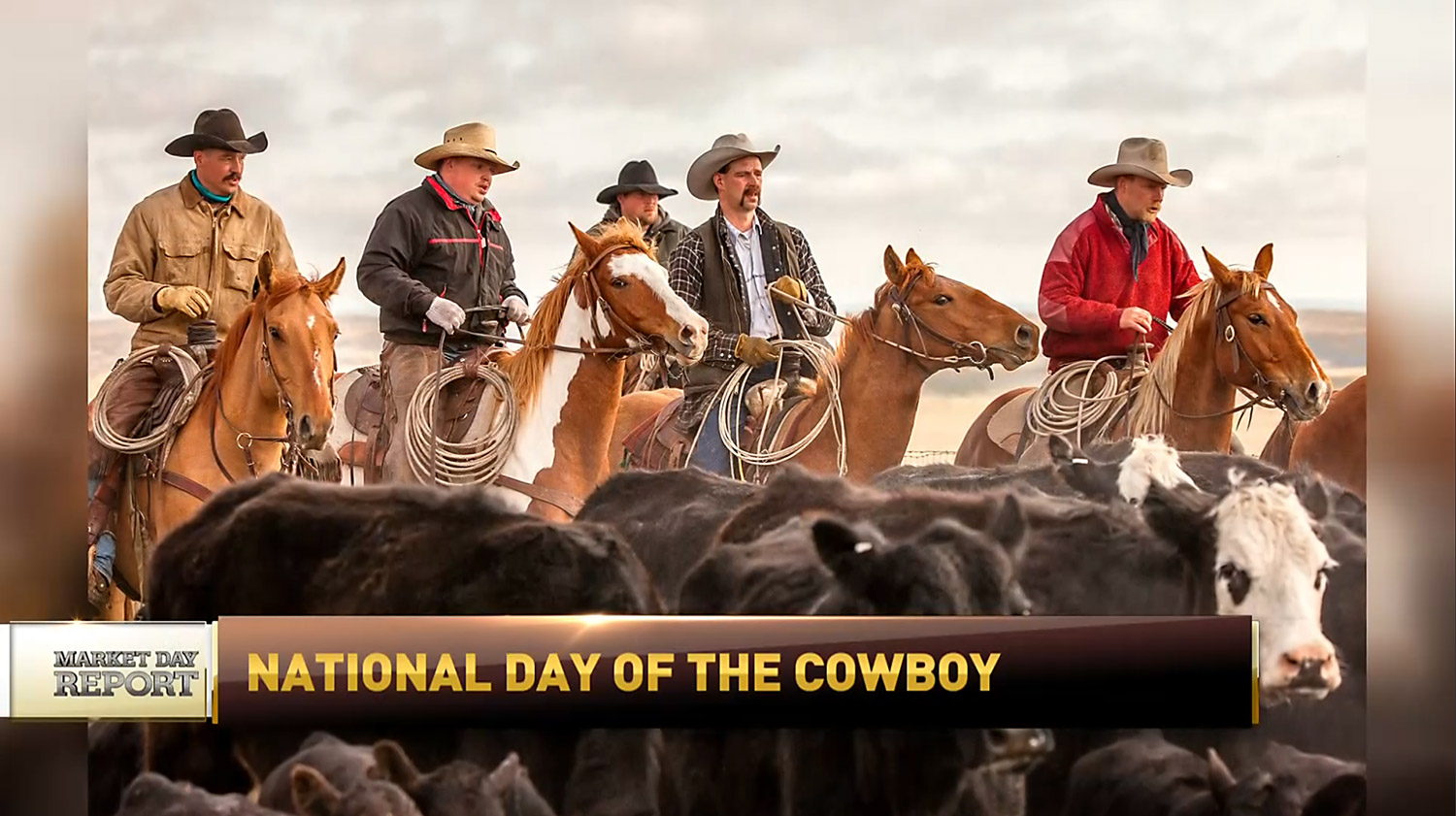 RFD-TV interviews me about National Day of the Cowboy
