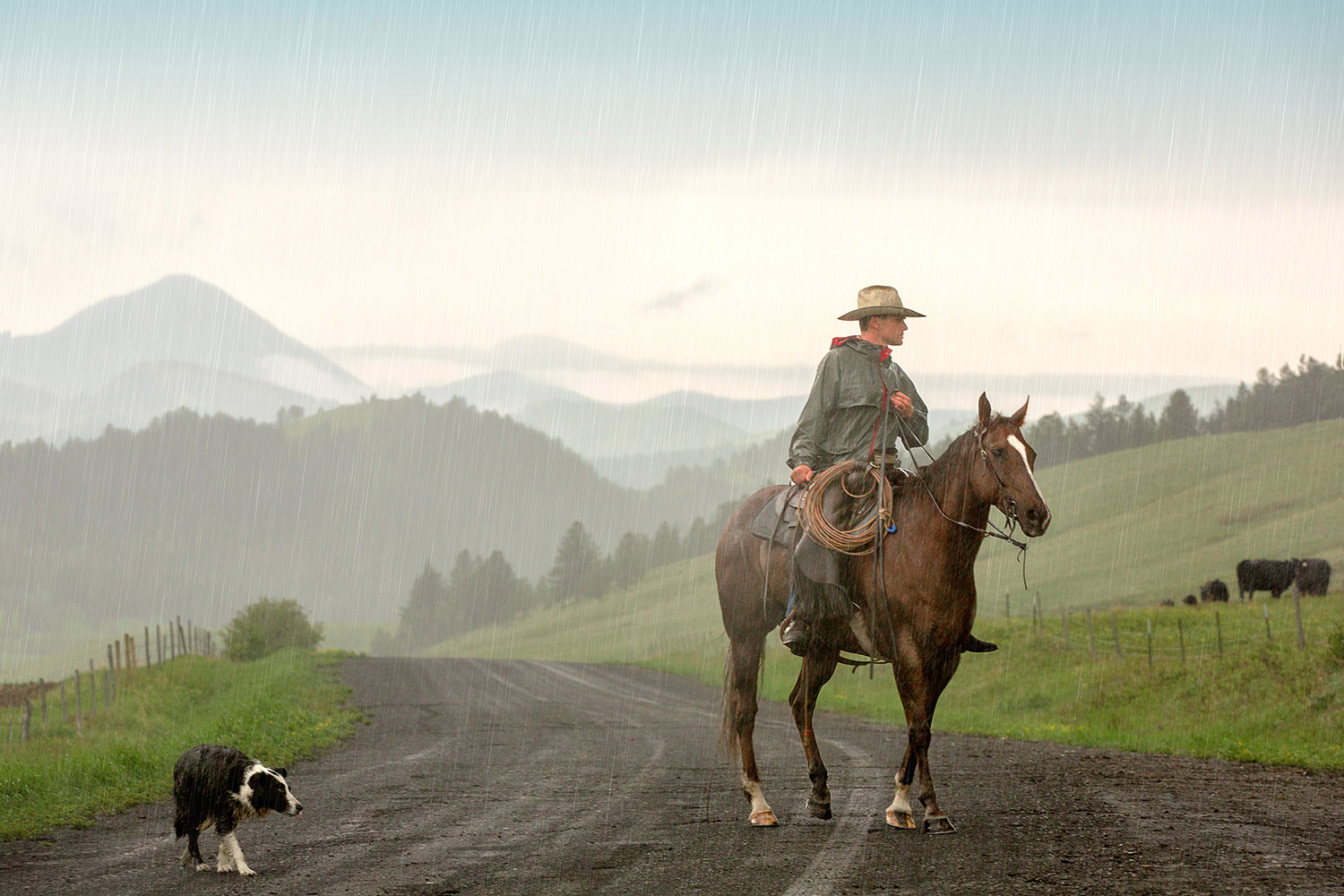 One of Todd Klassy Montana Cowboy Photos Wins IFAJ International Award