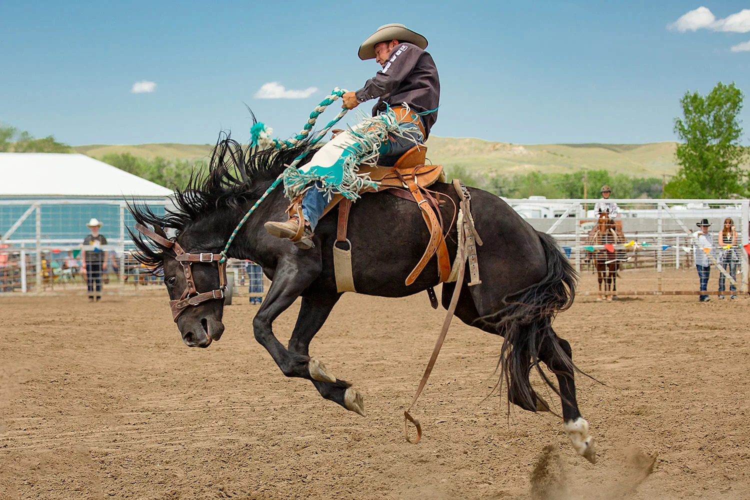 What Is A Bucking Bronco _ IS RODEO BRONC RIDING CRUEL? – LTGCJ