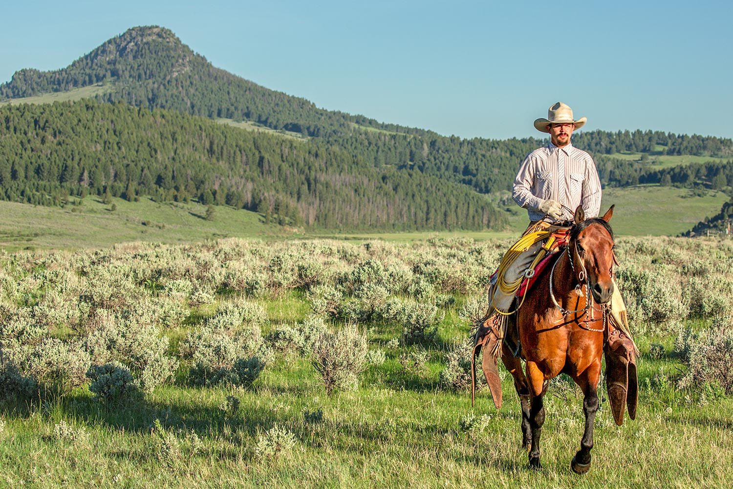 A cowboy rides his horse near Black Butte north of White Sulphur Springs through the lush green rolling hills of Meagher County, Montana.