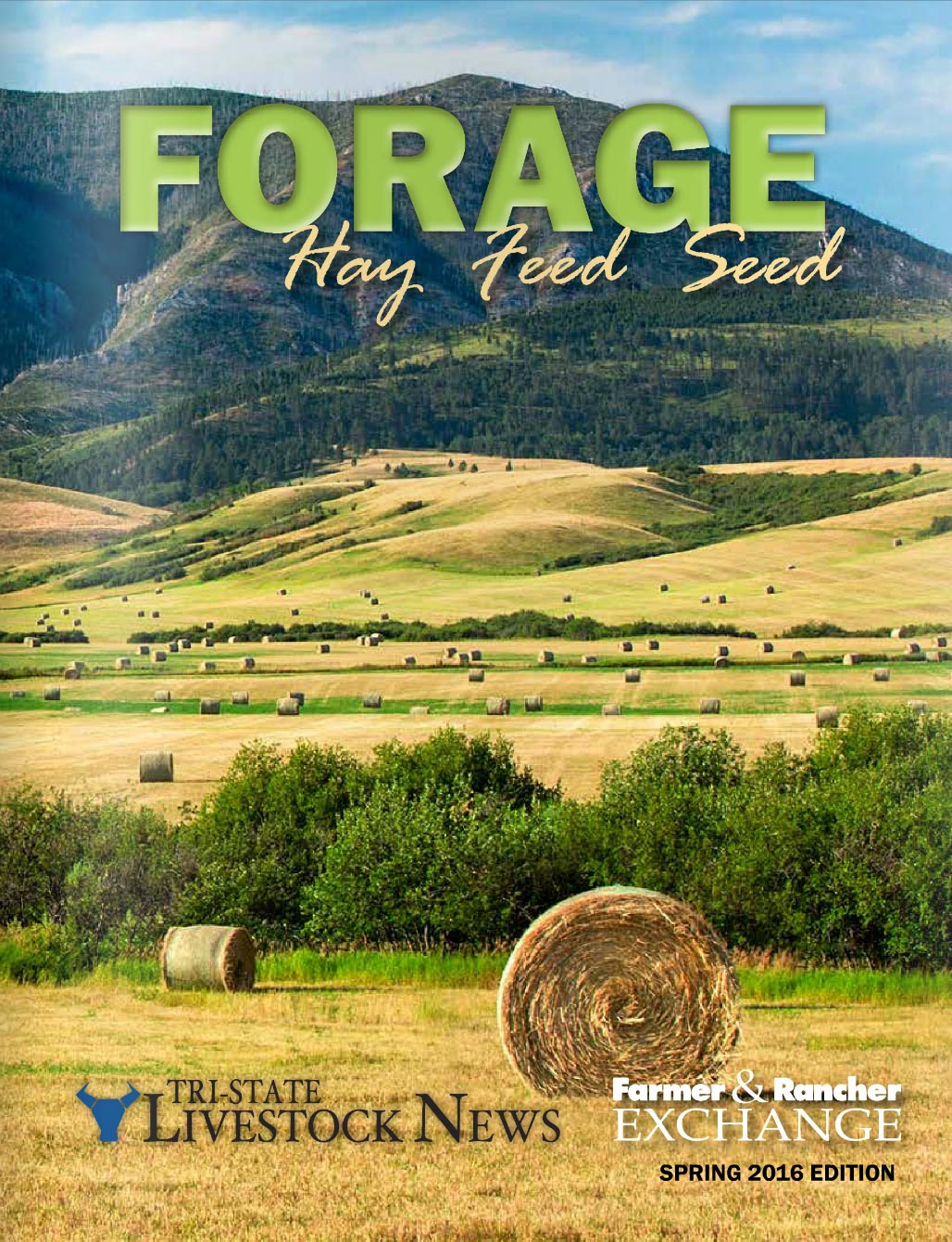 My photo of round bales near the Judith Mountains outside of Lewistown, Montana appears on the cover of the latest issue of Forage Magazine as seen here.