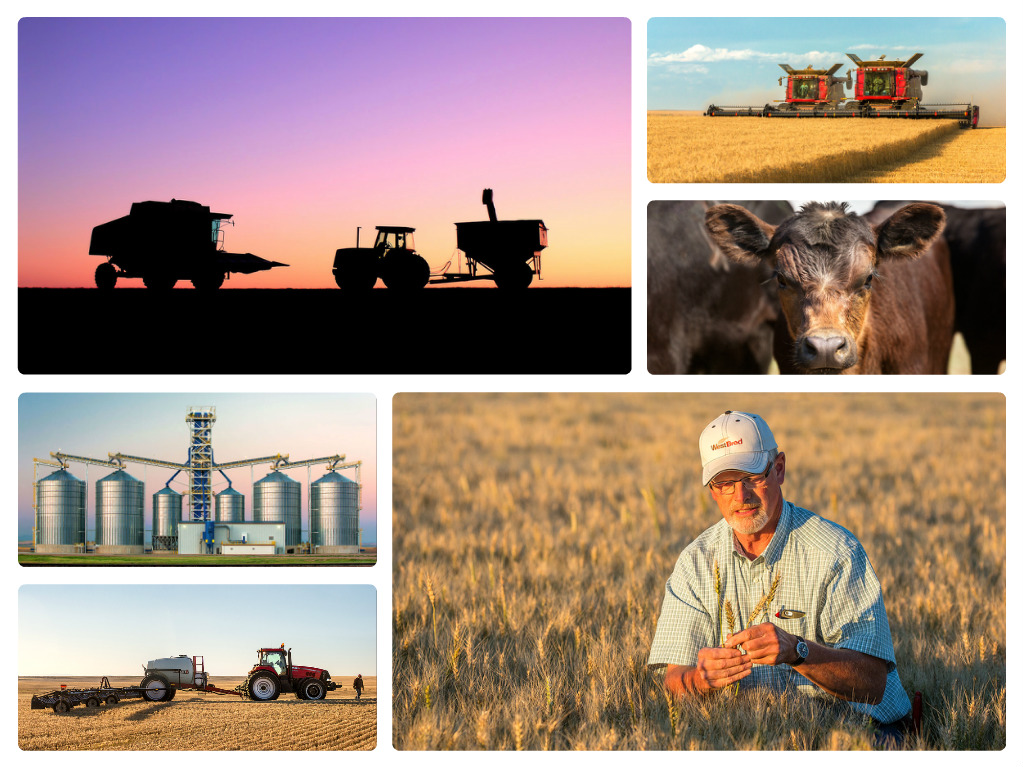 Have you seen the new agriculture photos I added lately?