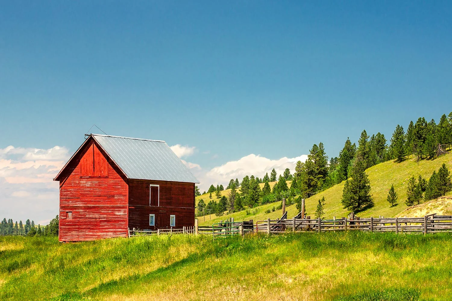 Small Red Shed
