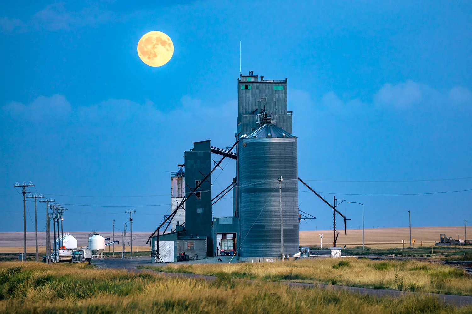 Under the Harvest Moon