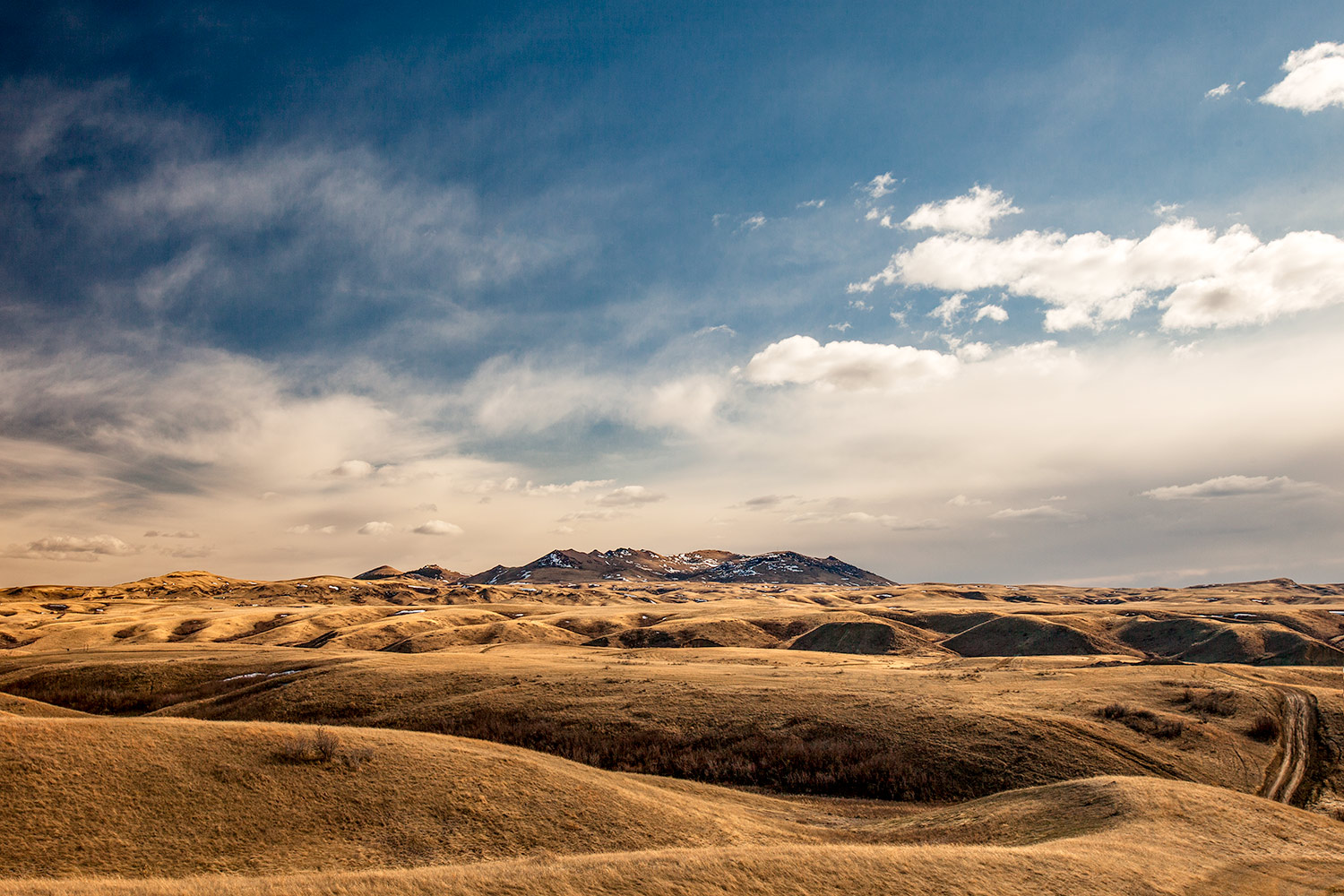 The rolling foothills of the Bear Paw Mountains south of Havre, Montana.&nbsp;→ Buy a Print&nbsp;or License Photo