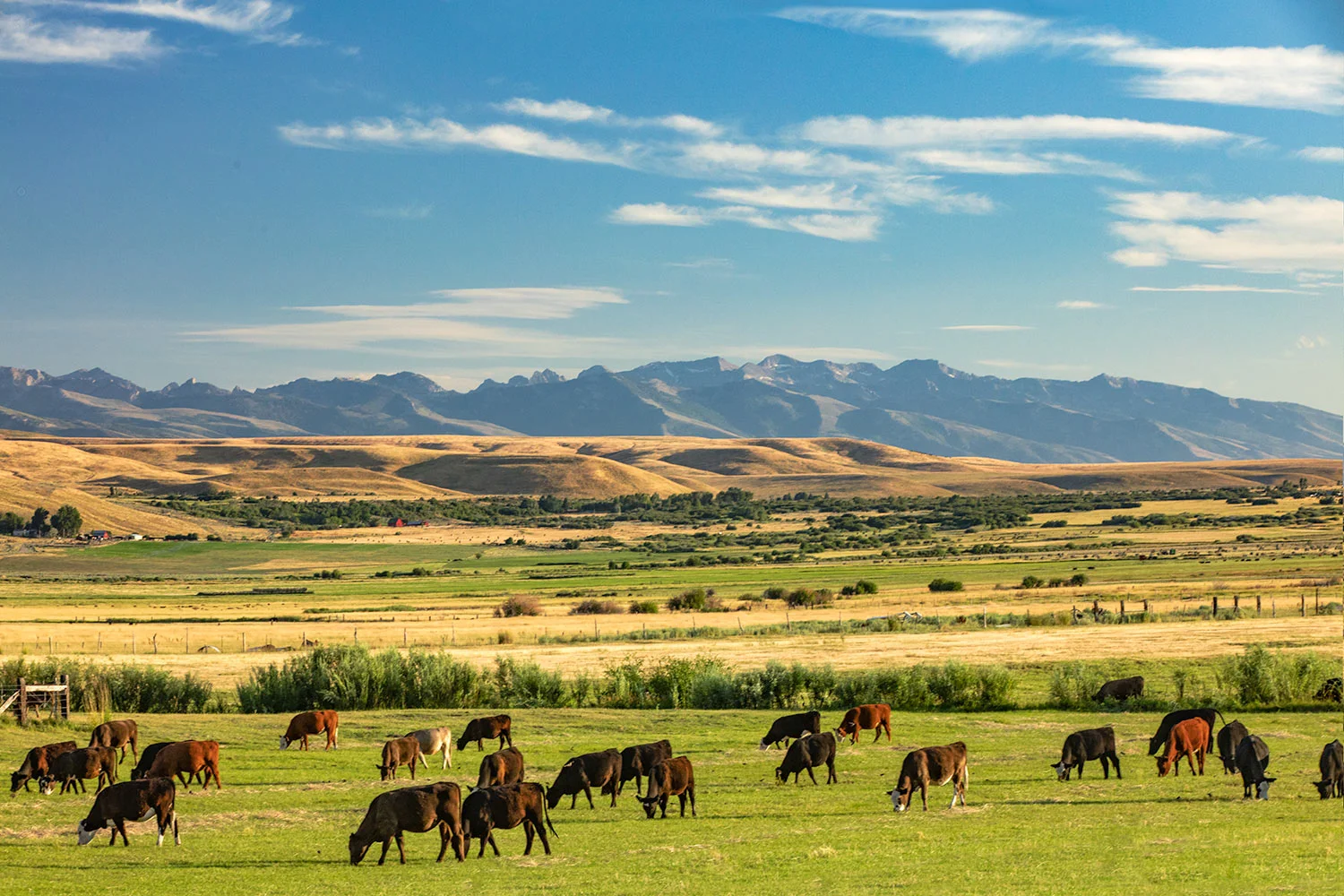 Ranch and Range