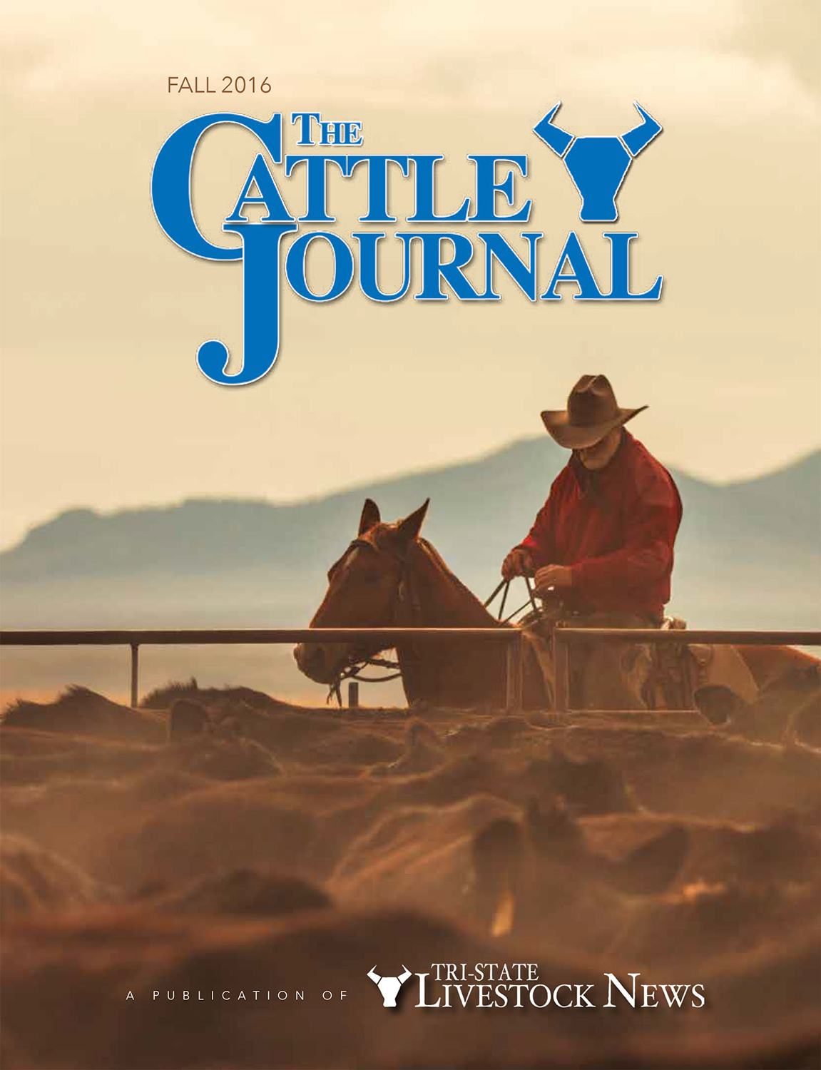 Cowboy photo on cover of The Cattle Journal