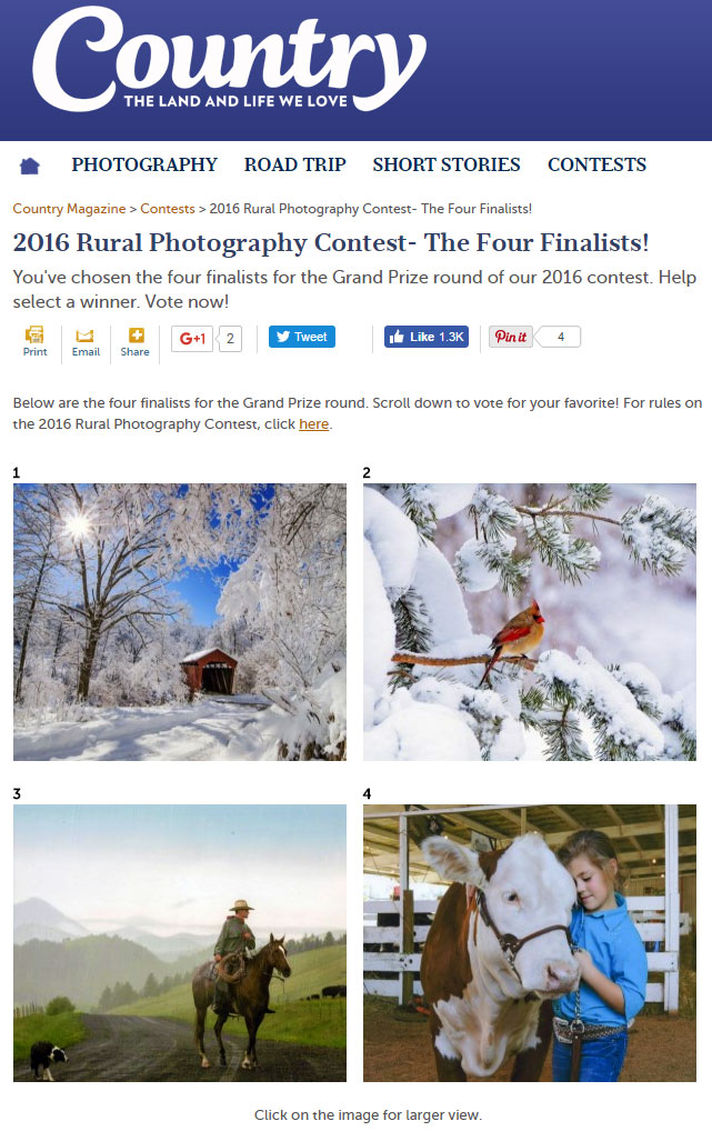 Cowboy Photo a Finalist in Country Magazine 2016 Rural Photography Contest