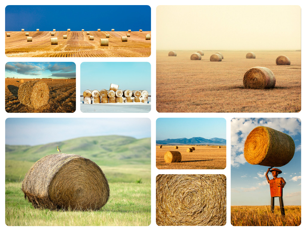 Photos of Round Bales of Hay and Straw