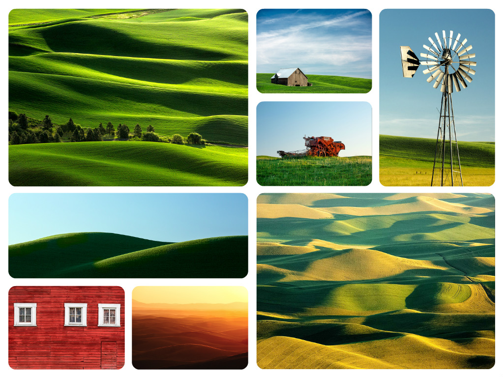 Have you seen my latest photographs of the Palouse?