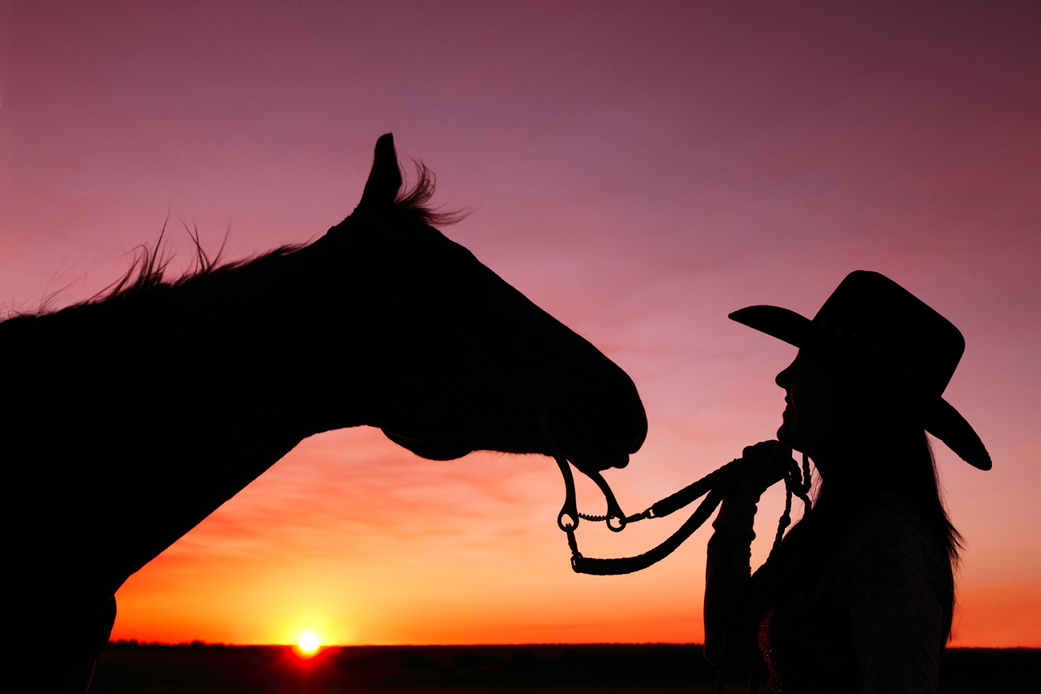 Silhouette of a Cowgirl and Horse Photos