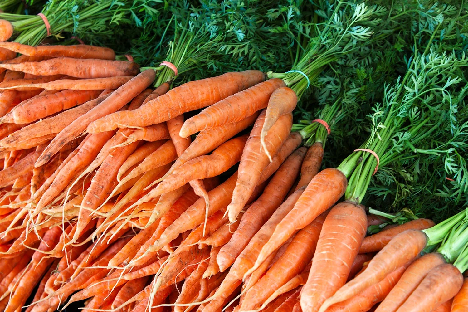 Crates of Carrots