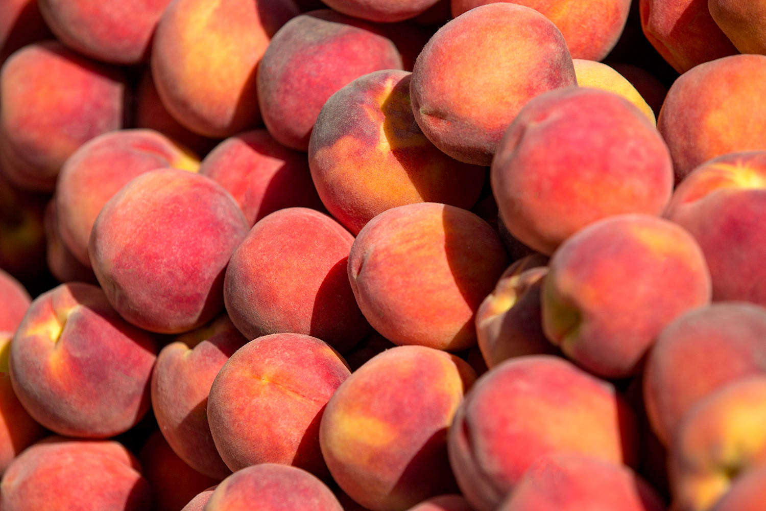 Peachy Peaches