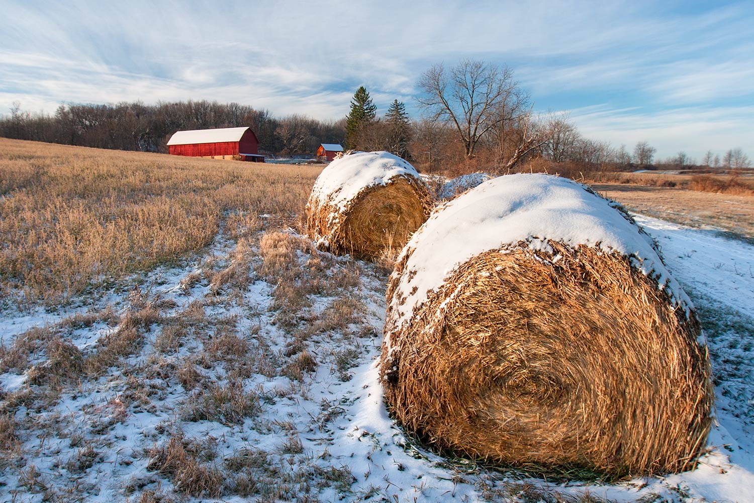Cold Bales